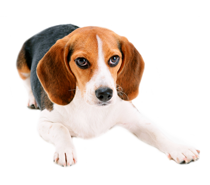 Третий слайд