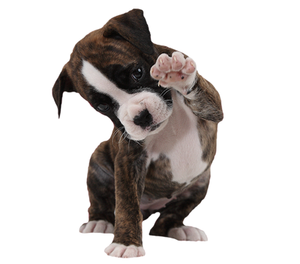 Третий слайд