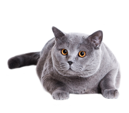 Третий слайд